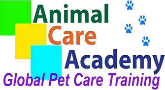 Begin Your Pet Care Career with Zero Cost: Find Free Pet Grooming and Care Courses