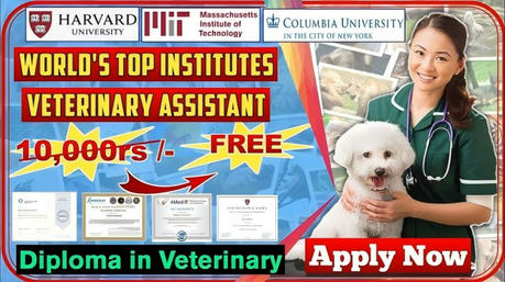 Kickstart Your Career for Free: How to Find Veterinary Assistant Courses at No Cost