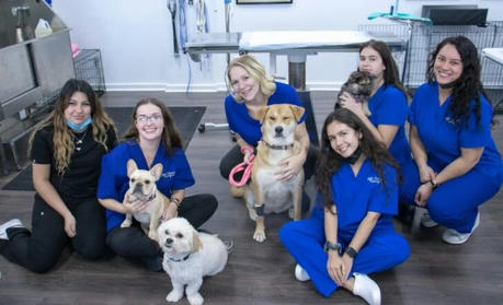 Become a Veterinary Assistant for Free and Start Your Animal Care Career