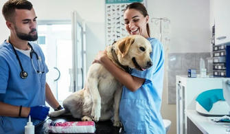 Want to become a veterinary assistant? How can I get free training?